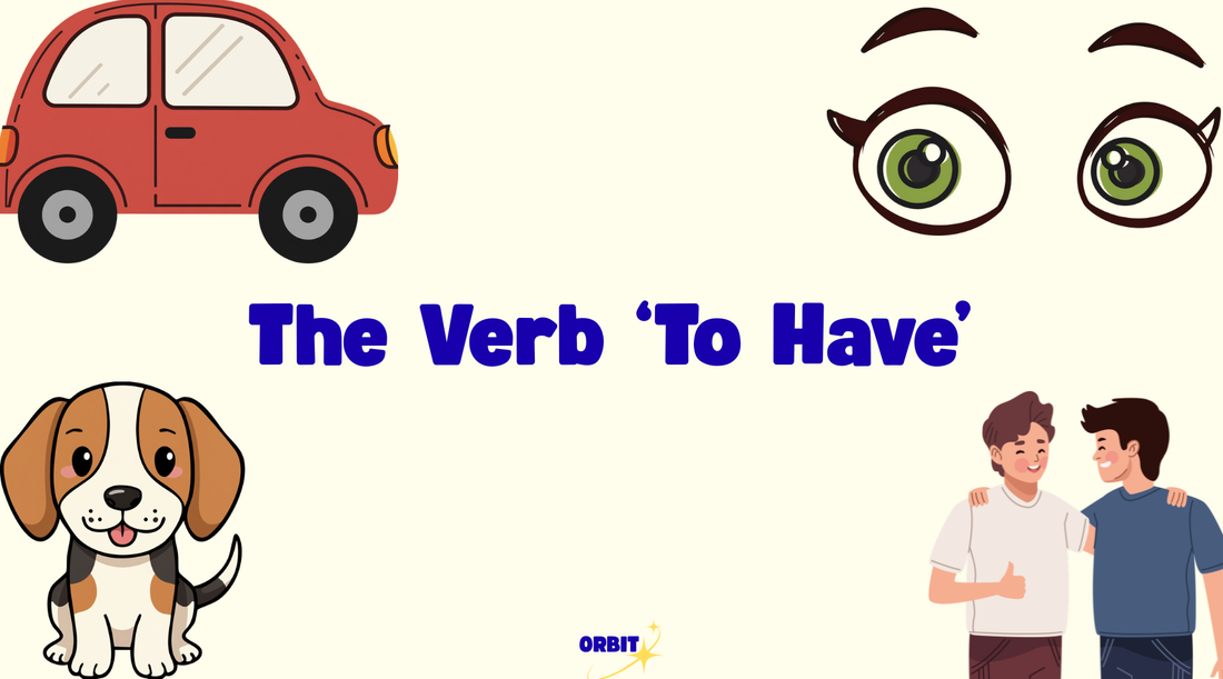 The Verb 'To Have': Present Simple
